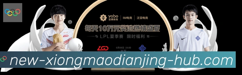 企业概况